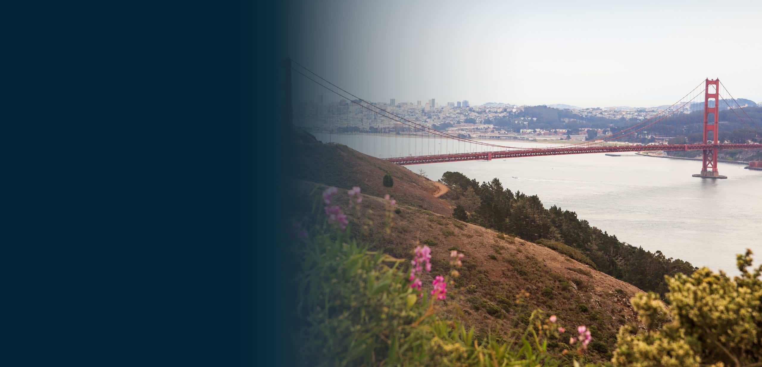 Areal view of San Francisco skyline